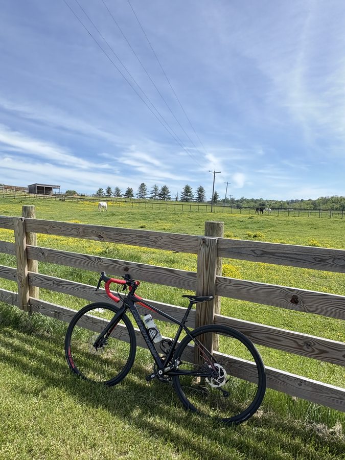 A road bike leaning against a wooden fence beside a pasture with grazing horses