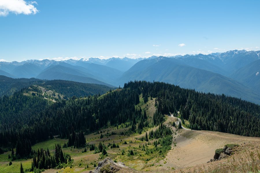 Forested ridgelines below snow-capped peaks in Olympic National Park