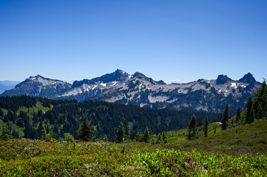 A jagged, snow-streaked ridge above a wildflower meadow at Mount Rainier
